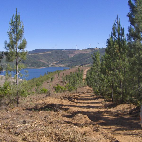 1_Fotos 3.4 19 06 08 005