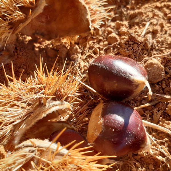 20211111_092500