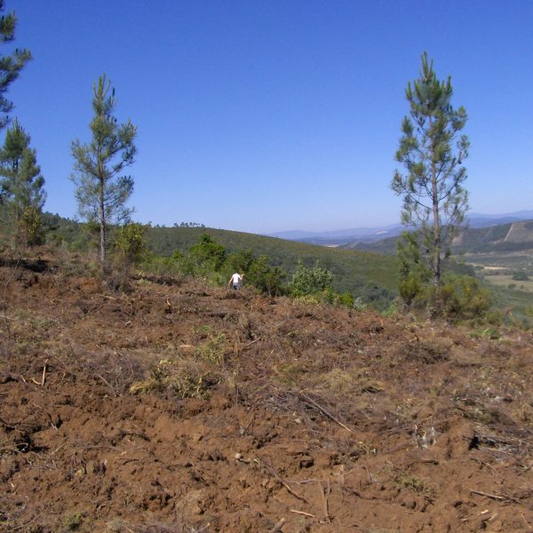 2_Fotos 3.4 19 06 08 007