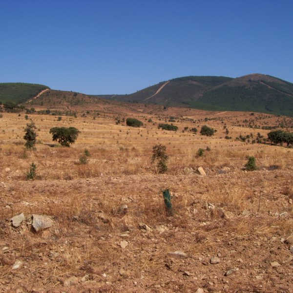 6_Fotos_CMP_PGF 016
