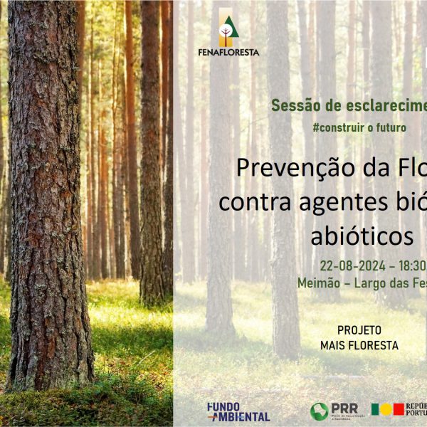 cartaz